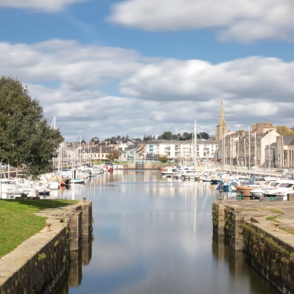 Bonjour tout le monde !